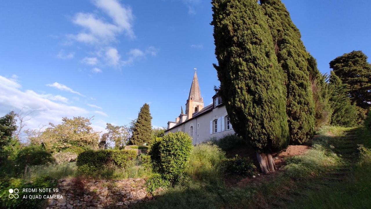 L'Angeline Bed and Breakfast Gennes-Val-de-Loire Exteriör bild